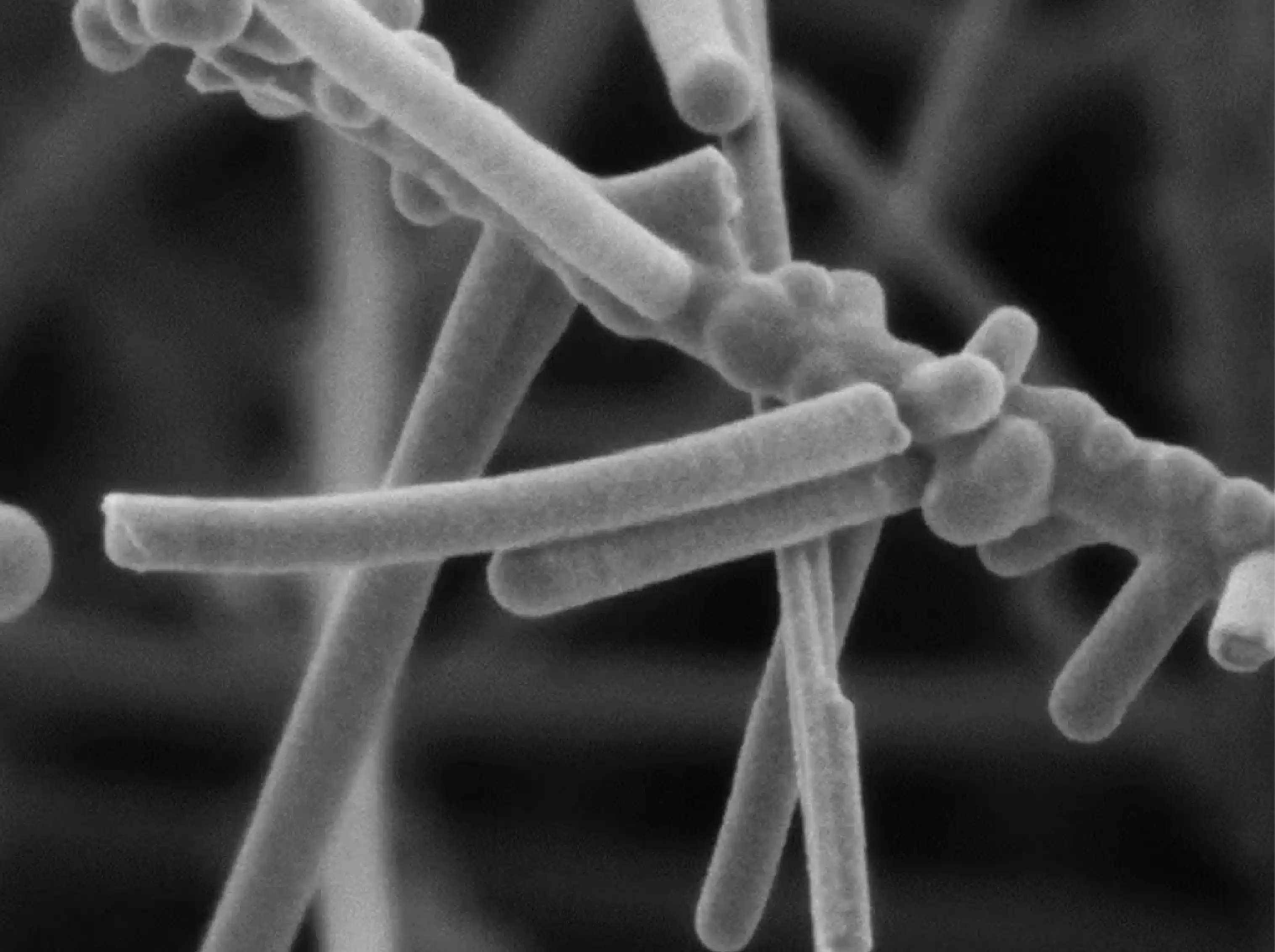 Academia and Research | Jordan